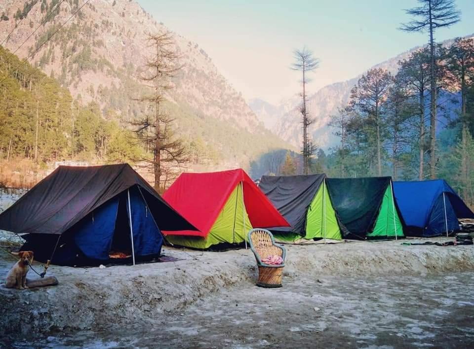Stayhigh Camps & Cottages Kasol Eksteriør billede