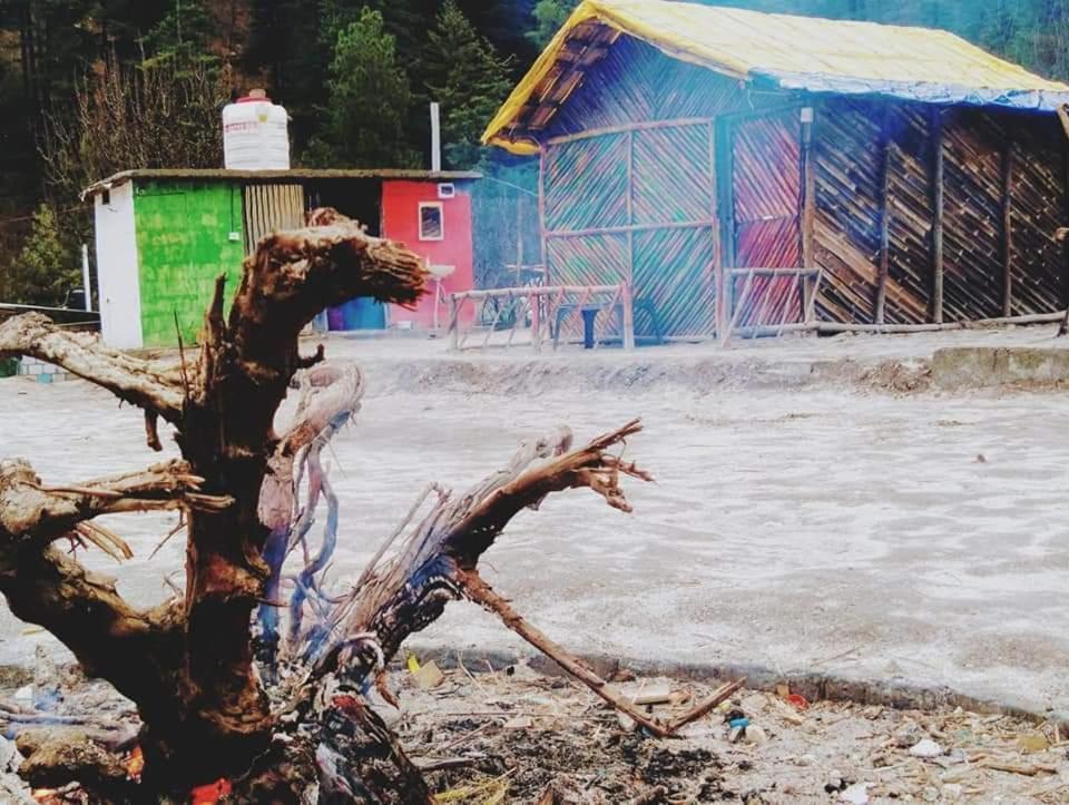 Stayhigh Camps & Cottages Kasol Eksteriør billede