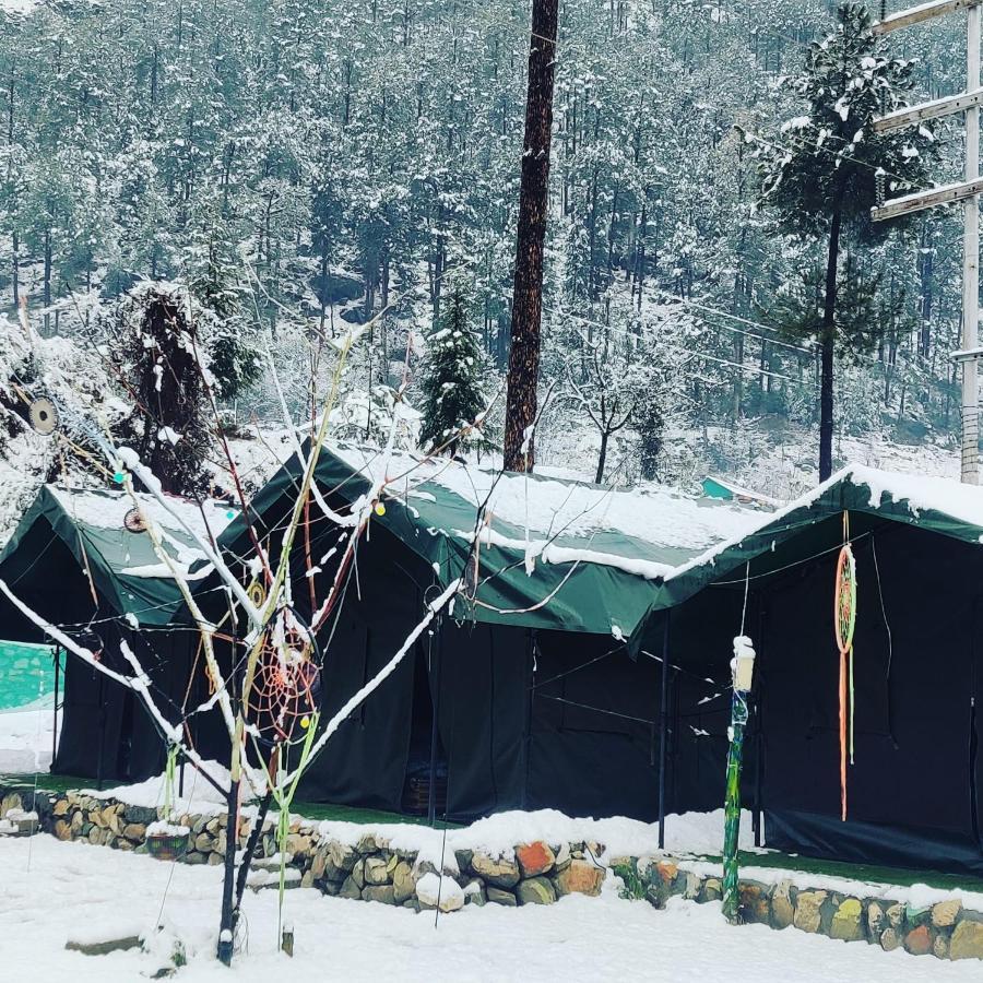 Stayhigh Camps & Cottages Kasol Eksteriør billede