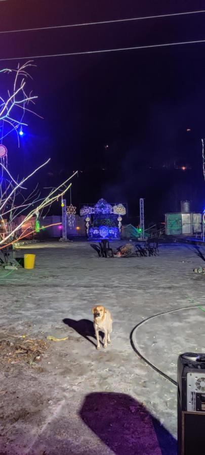Stayhigh Camps & Cottages Kasol Eksteriør billede